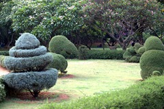 Lal Bagh in Bangalore