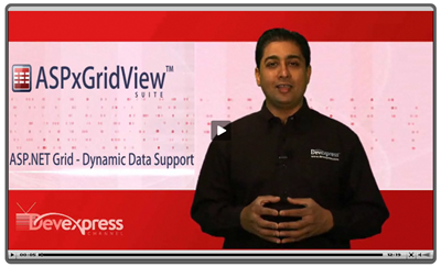 DevExpress Dynamic Data Video