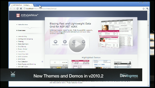 
New DevExpress ASP.NET Themes and Demos