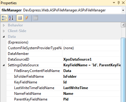 ASP.NET FileManager - Settings DataSource