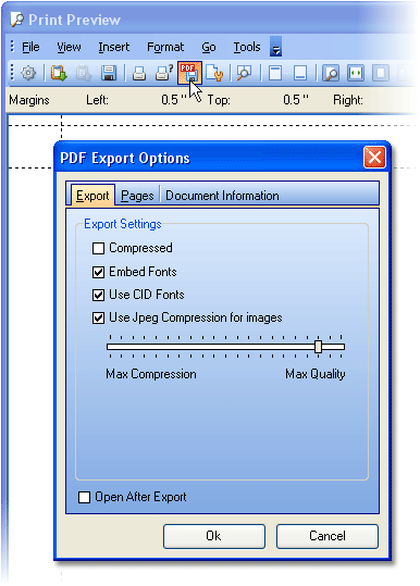 PDF Export options dialog