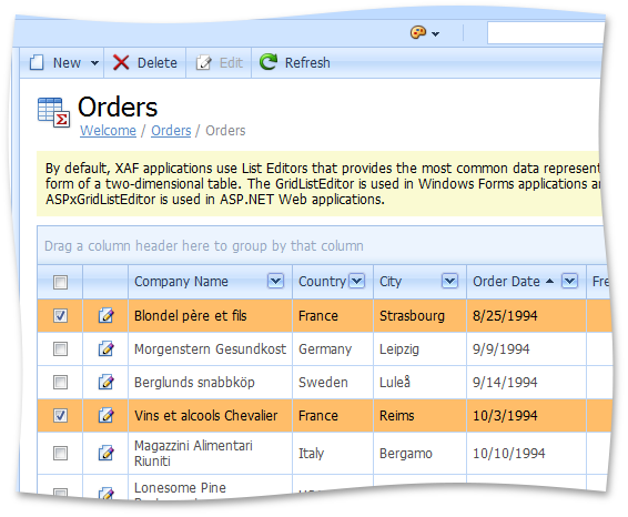 Web application showing the Aqua theme