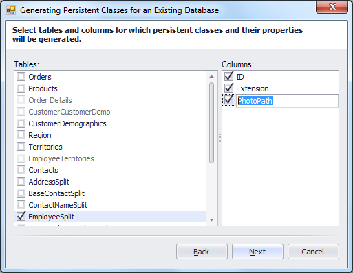 Generate Persistent Classes Wizard - Select EmployeeSplit Table