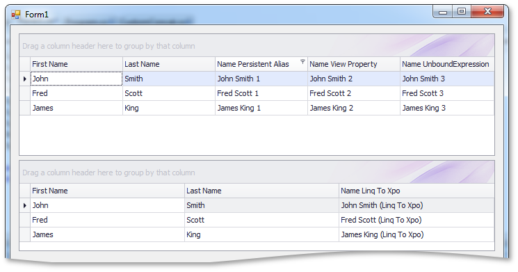 Example Form showing custome functions in LINQ to XPO