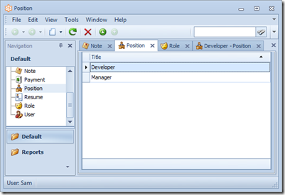 XAF Mdi Application Window