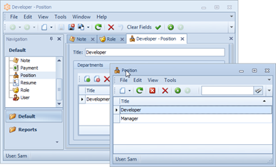 XAF Window Docking