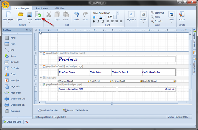 End-User Report Designer - Publish Report