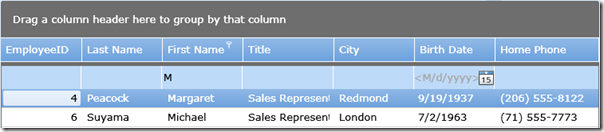 AutoFilter_Row