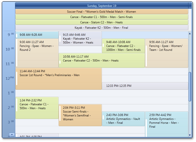 DevExpress-WPF-Scheduler-dayview