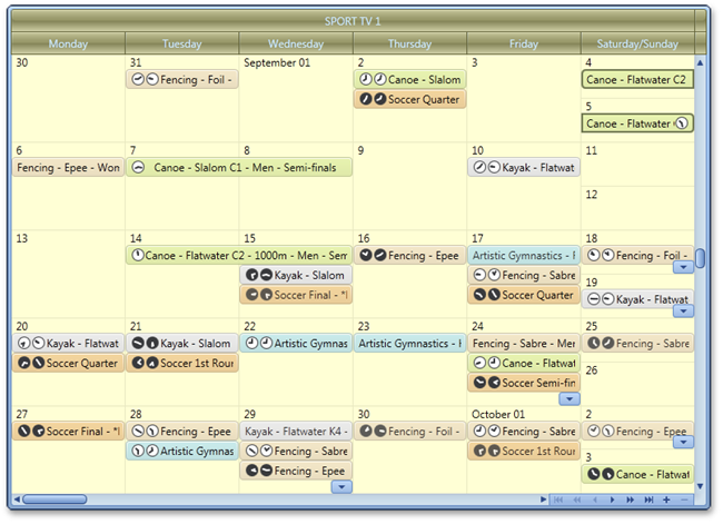 DevExpress-WPF-Scheduler-monthview