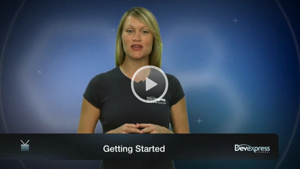 SL Spell Checker Video