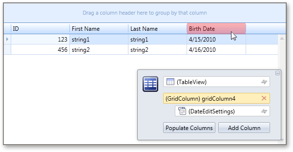 WPF Data Grid Design Time Experience