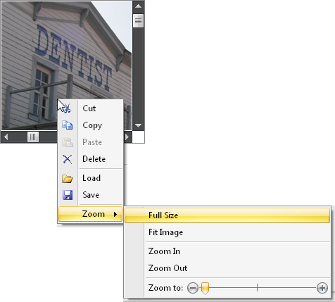 WinForms Picture Image Edit Zoom