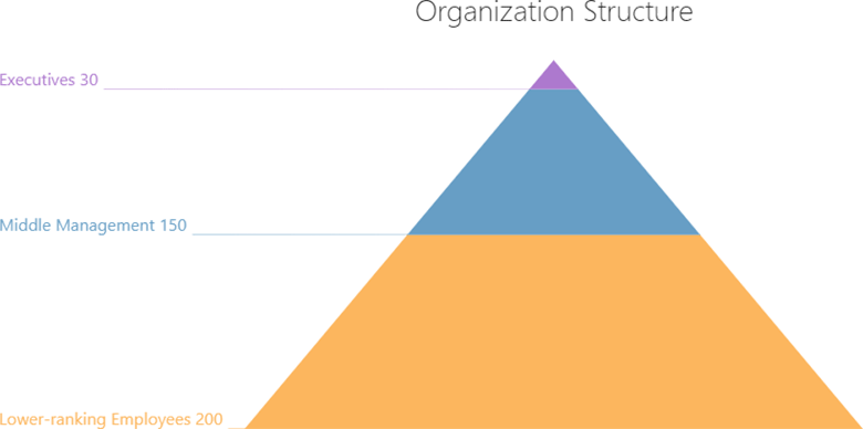 Organization structure
