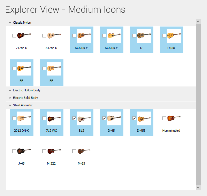 WinForms Data Grid Explorer View: Medium Icons