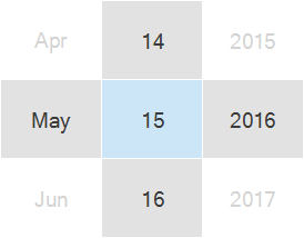WinForms Calendar-Date Edit Control