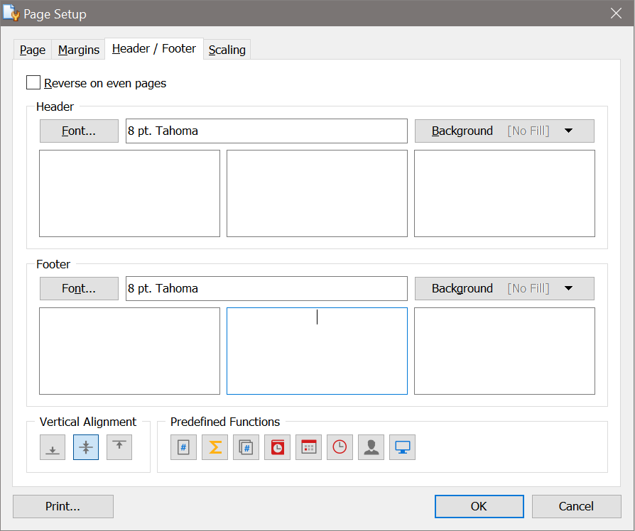 The Page Setup Dialog with Vector Icons for VCL Products